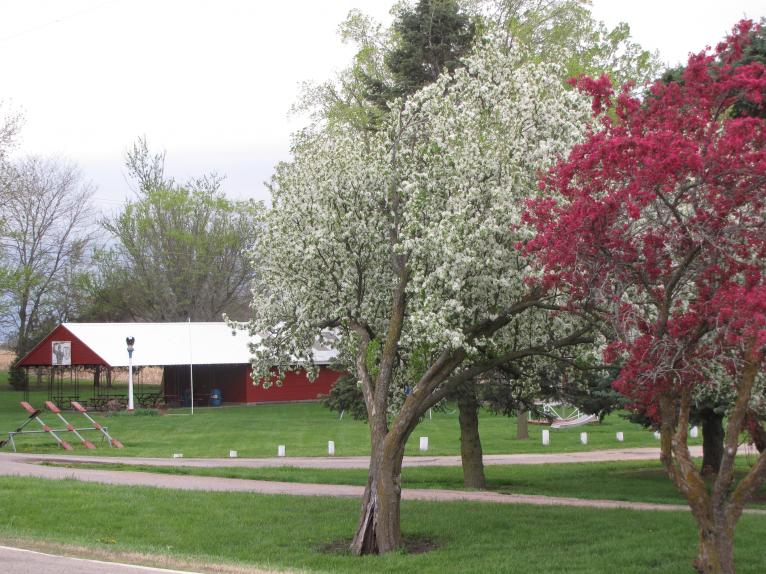 Craig Park & Shelter
